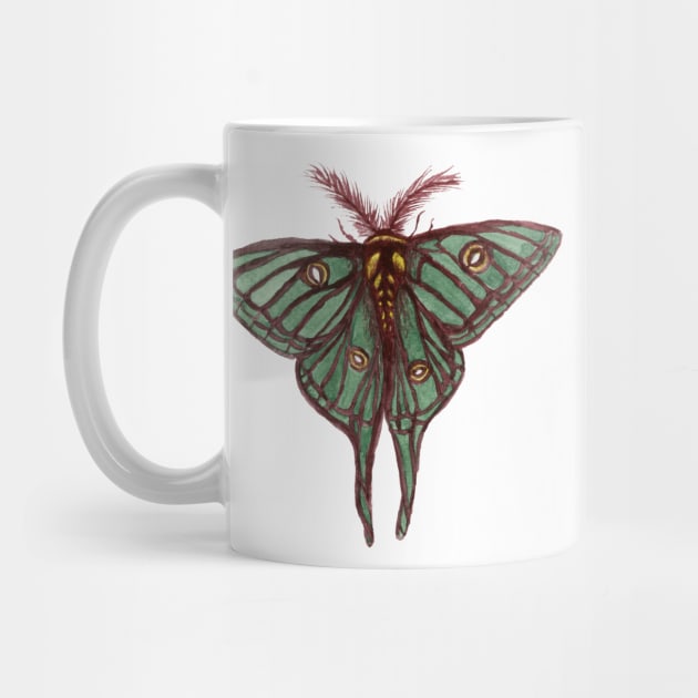 Watercolor Spanish Moon Moth by paintedpansy